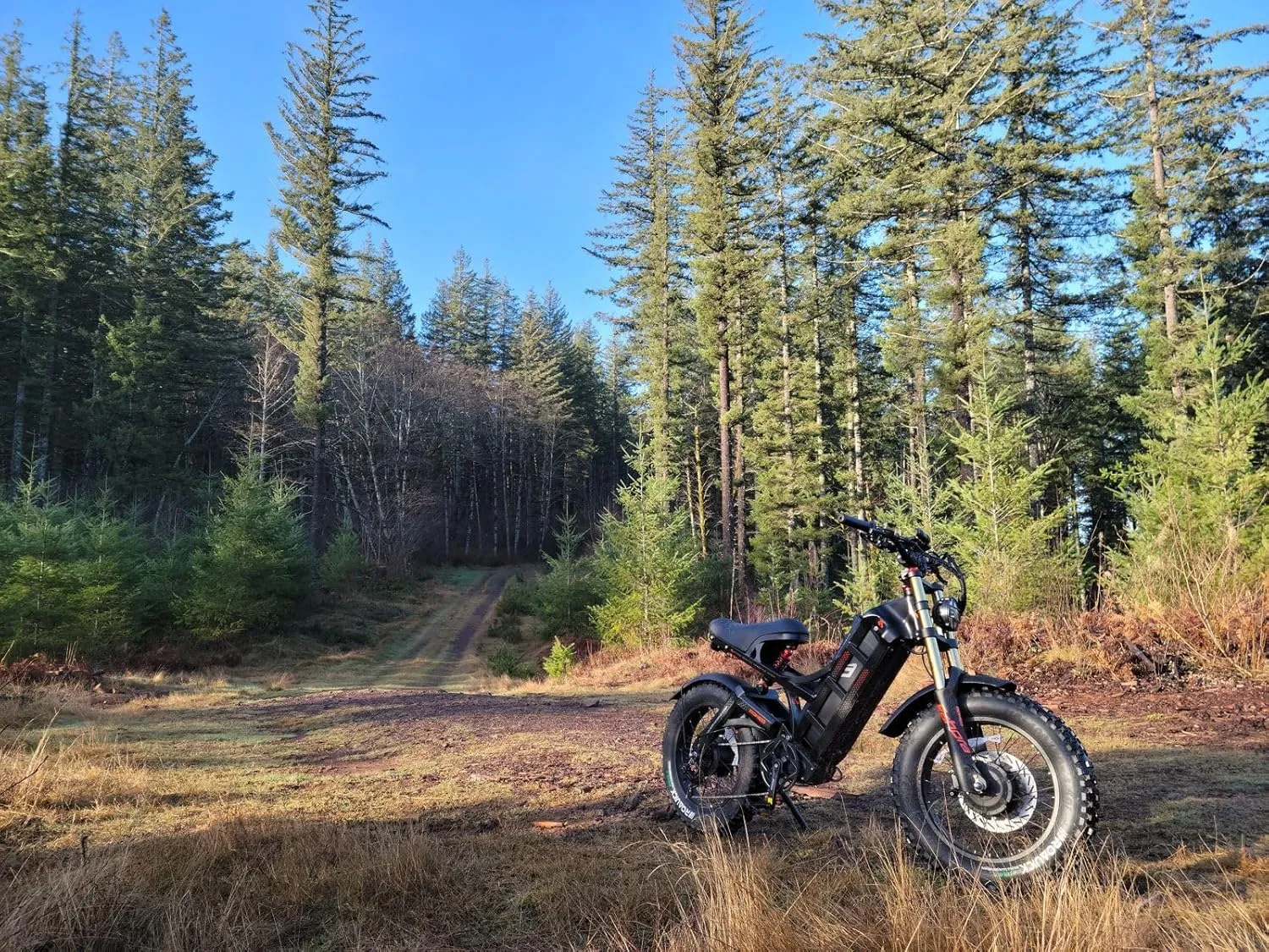 (2025 Version) Eahora Romeo II 2500W 40 MPH Electric Mountain Bike Dual Motor 52V 60AH Battery 200 Miles Long Range Electric Bike for Adults 20"*4.5" Fat Tire Full Suspension Off-Road EBike,UL2849