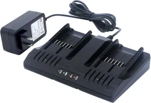 Biswaye WA3875 20V Li-ion Dual Port Charger Compatible with Worx 18V/20V PowerShare Battery WA3578 WA3575 WA3525 WA3520 WA3512 WA3512.1 WA3742