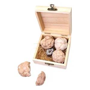 Boys and Girls Gemstone Mining Set 1 Box Crystal Ball Raw Ore Geology Toys Educational Rock Collection Fun