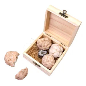 Crystal Ball Raw Ore Rock Kit Gemstones Mining Sets for Boys and Girls Geology Collection Box Toys
