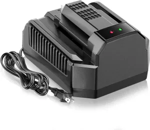 Fast Charging Replacement for EGO 56V Battery Charger CH2100,Compatible with EGO 56V Batttery BA2800 BA4200 BA1400,for EGO Power  CH2100 56-Volt Lithium-ion Standard Charger