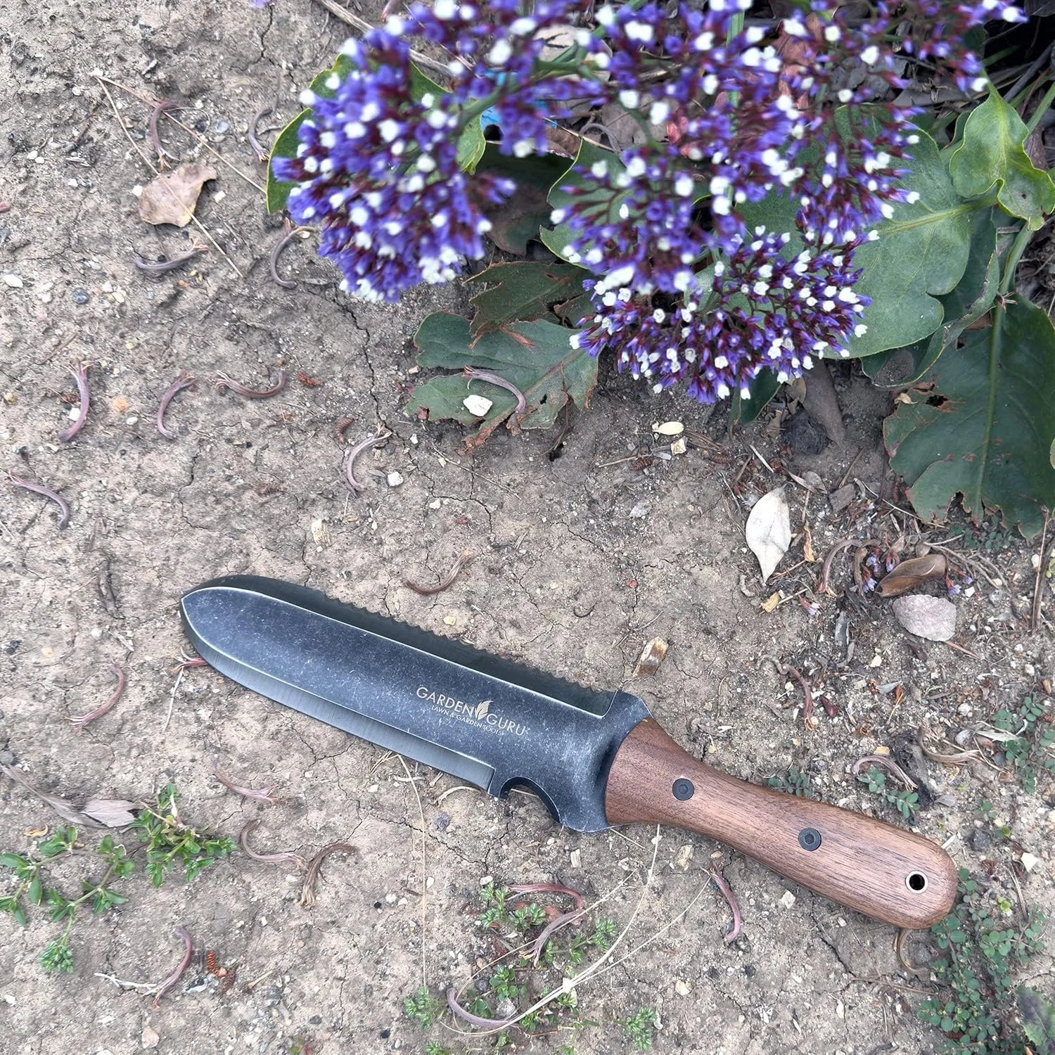 Garden Guru Hori Hori Gardening Knife for Weeding Digging Pruning & Cultivating - Stainless Steel Full Tang Blade | Walnut Wood Handle | Marks for Measuring Planting Depth | Nylon Sheath for Storage