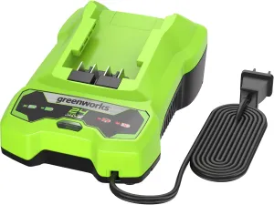 Greenworks 24V Battery Charger (Genuine Greenworks Charger)