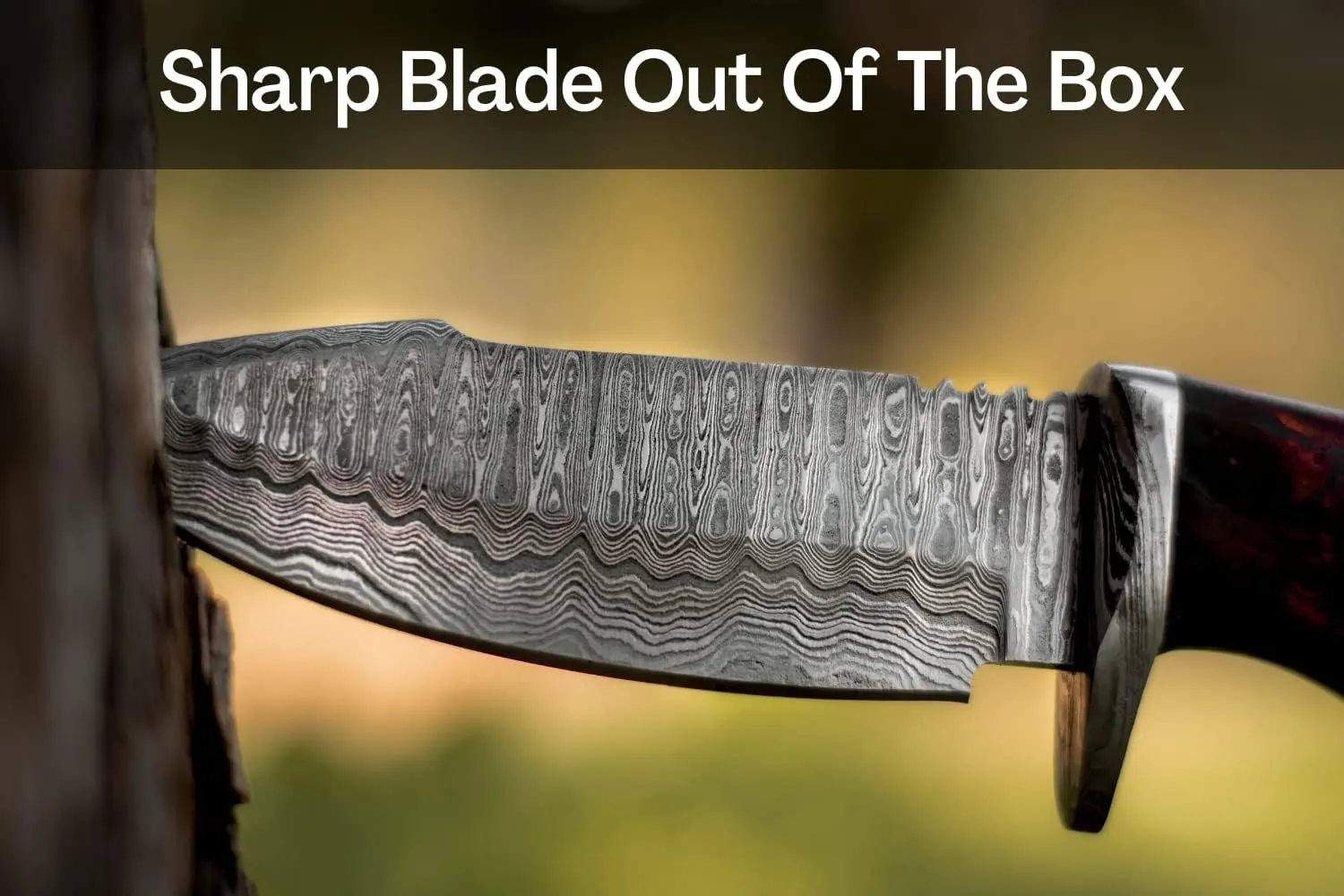 Handmade Damascus Full Tang Knife | Hunting | 10 Inch Hunting Fix Blade knives with Walnut Wooden Handle | Camping Knife with Leather Sheath | HUNT 07
