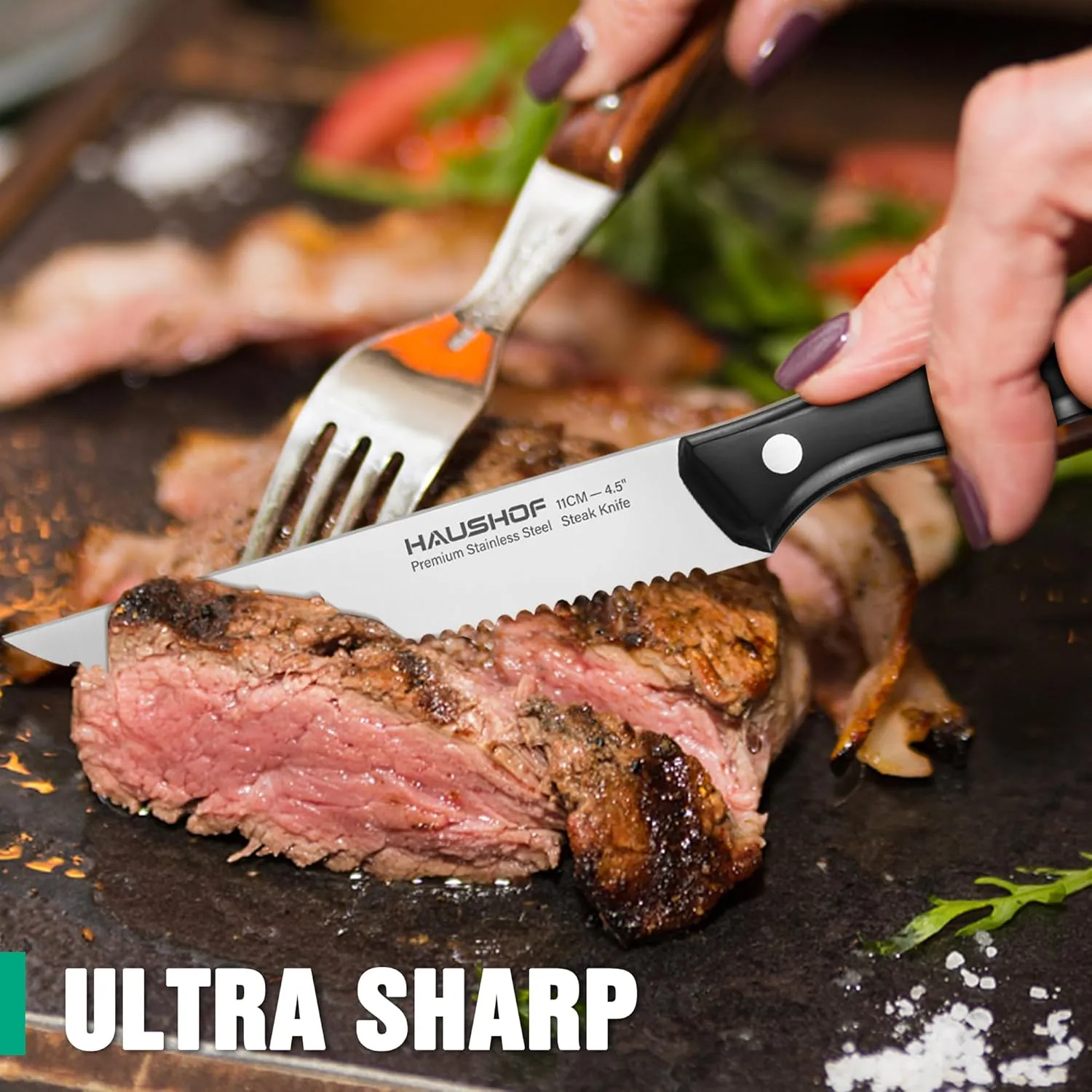 HAUSHOF Steak Knives Set of 4, Premium Stainless Steel Serrated Steak Knife Set with Gift Box, Full Tang and Ergonomic Handle, Gifts Knife Set for Mom, Dad, Wife and Husband
