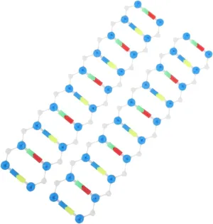 Milisten 2pcs DNA Double Helix Structure Model Kit Science Popularization Teaching Tool for DNA Education for Biology Classes Research Laboratories Student Understanding of Genetics