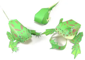 NewPath Learning Frog Life Cycle 3-D Model Making Kit, Set/5 Full-Color, Paper Model Templates & Teacher Guide (24-7723)