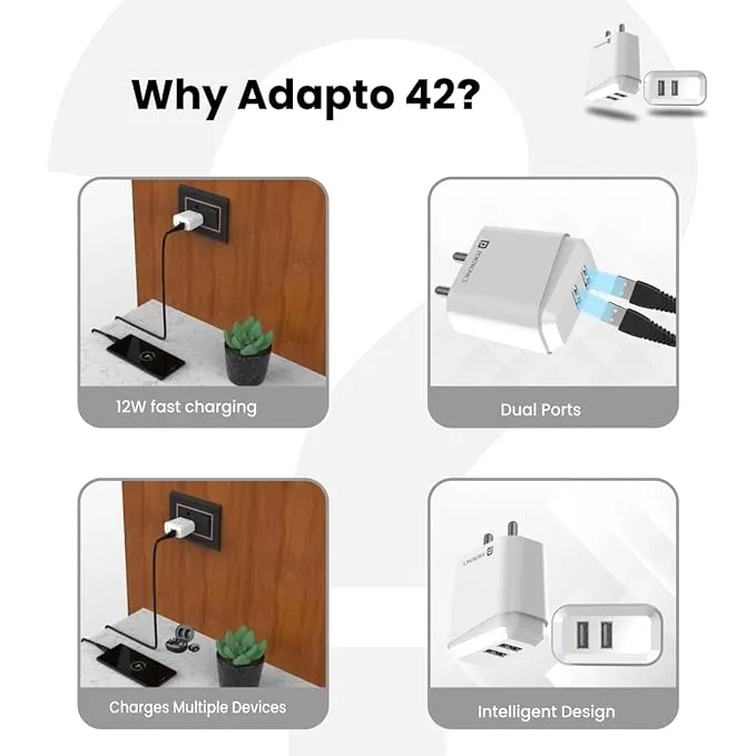 Portronics Adapto 42 C 2.4A Charger with Dual USB Port