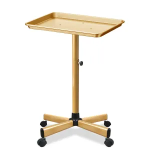 Premium Aluminum Salon Tray, Sturdy Corrosion-Resistant Adjustable Tray is Used for Salon Tray on Wheels, Salon Tool/Color Tray, Beauty Spa Tray, Dentist Tray, Etc.…(Gold)