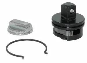 Ratchet Repair Kit, 3/8 in. Dr, 6 in.