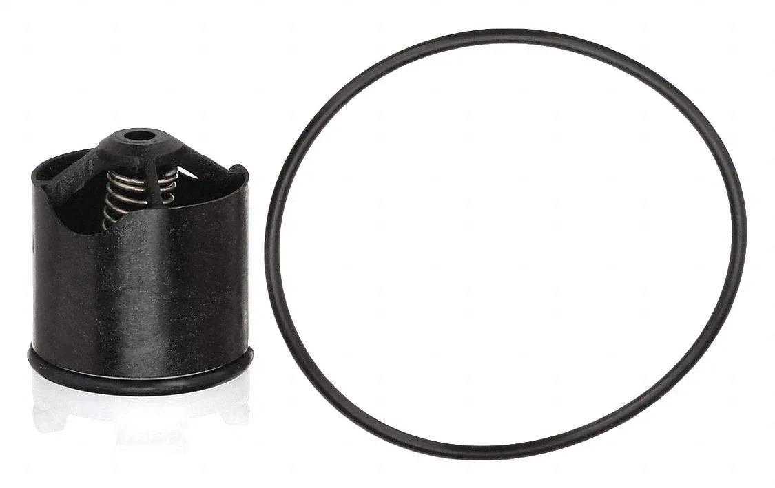 Repair Kit, Watts Series 009, 1/4 to 1/2In
