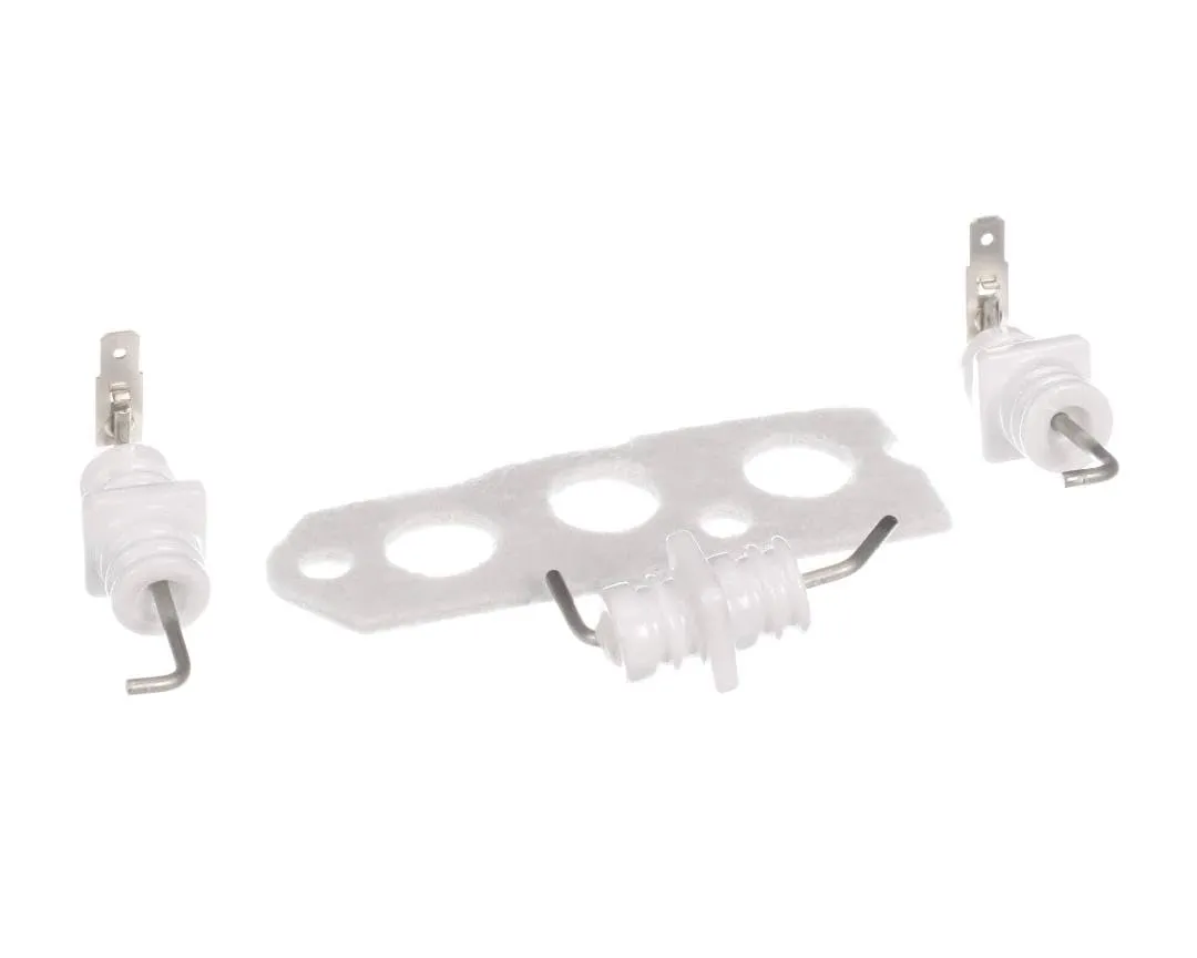 Rinnai Flame Rod Electrode Kit