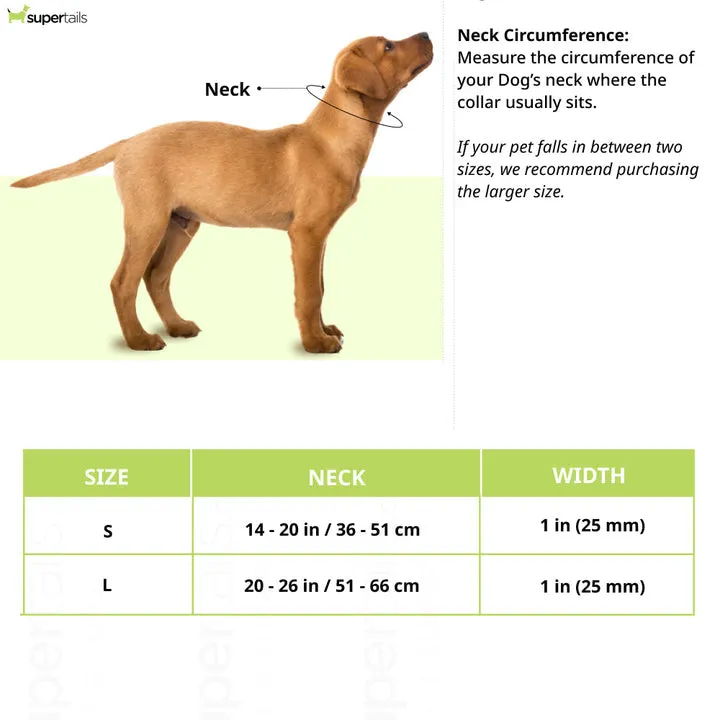 Ruffwear Confluence Waterproof Collar for Dogs Red Sumac