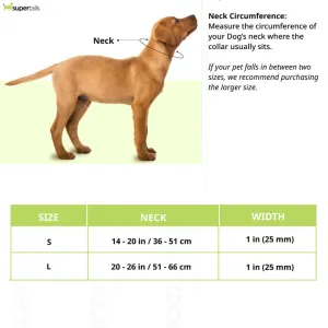 Ruffwear Confluence Waterproof Collar for Dogs Red Sumac