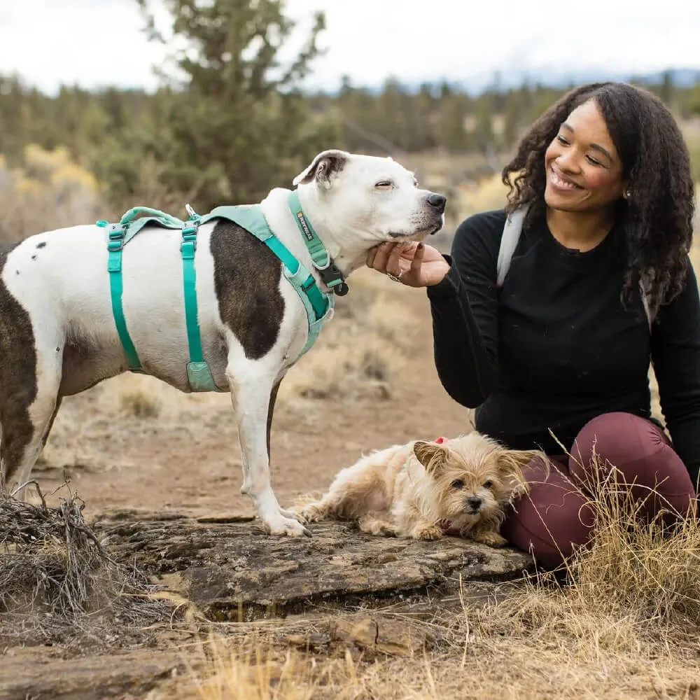 Ruffwear Hi & Light™ Lightweight Minimal Dog Collar
