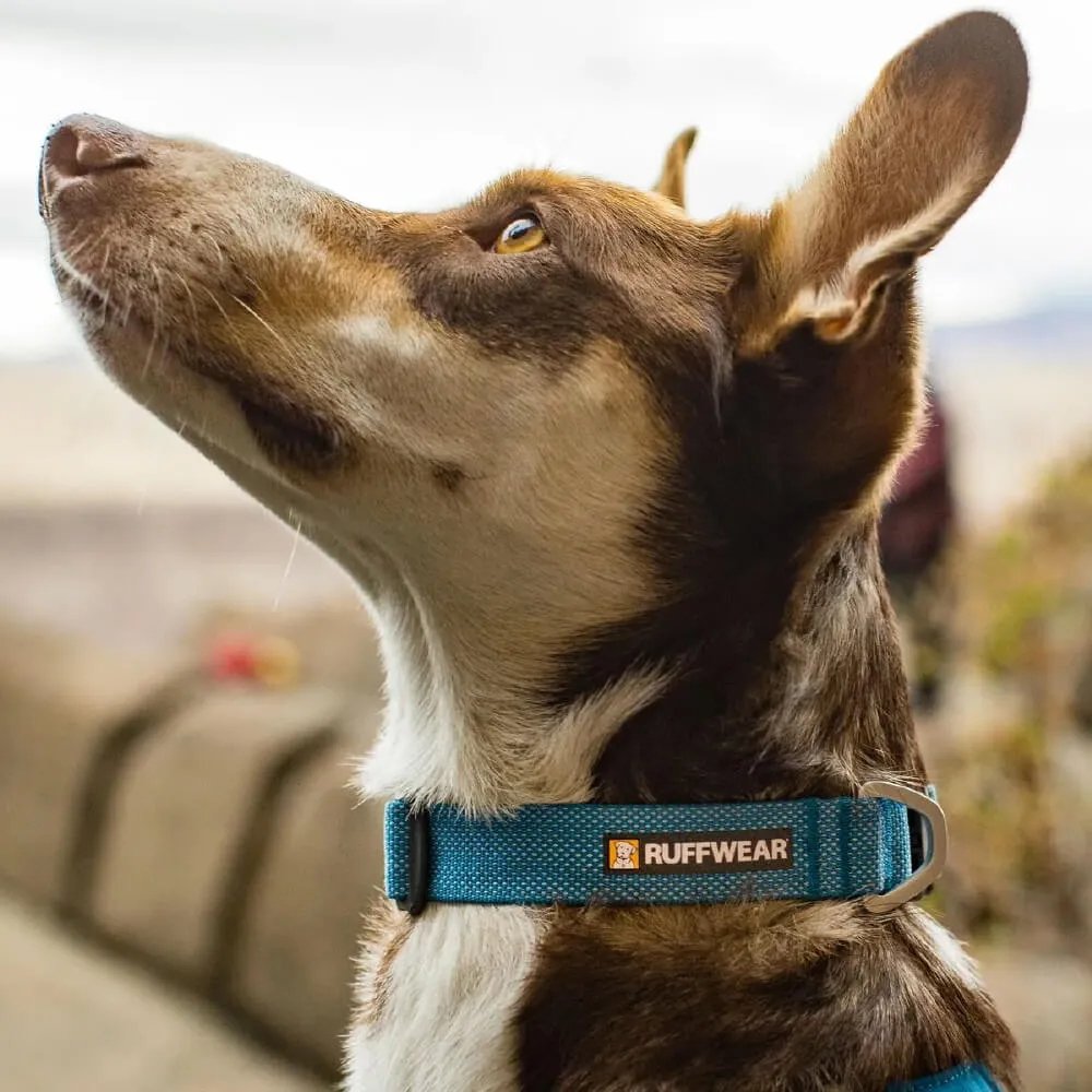 Ruffwear Hi & Light™ Lightweight Minimal Dog Collar