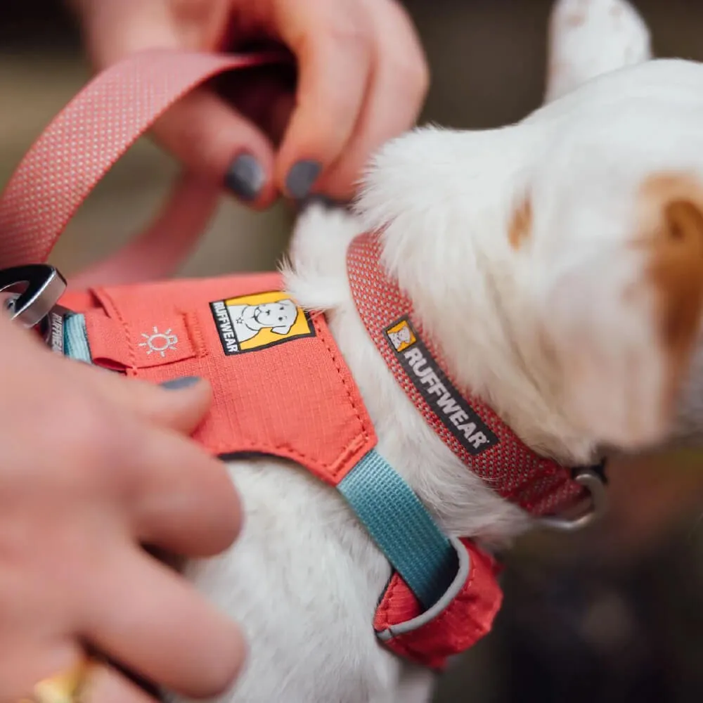 Ruffwear Hi & Light™ Lightweight Minimal Dog Collar