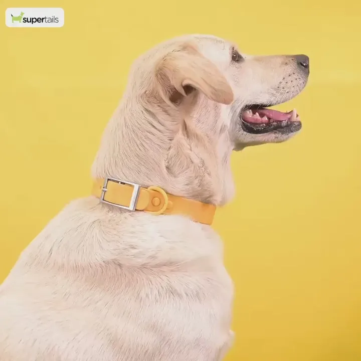 Ruffwear Hi  Light Lightweight Collar for Dogs Lichen Green