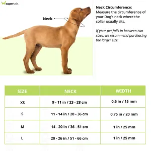 Ruffwear Hi  Light Lightweight Collar for Dogs Lichen Green