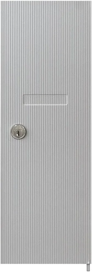 Salsbury Industries 3551ALM Replacement Door and Lock for Vertical Mailbox with Keys, Aluminum