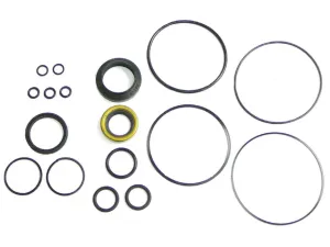 Sparex, S.60087 Repair Kit, Power Steering Cylinder, Massey Ferguson for Massey Ferguson 100 Series 3100 Series Combine Series Industrial Seriespre 100 Series 150, 165, 1753165313065MF 50