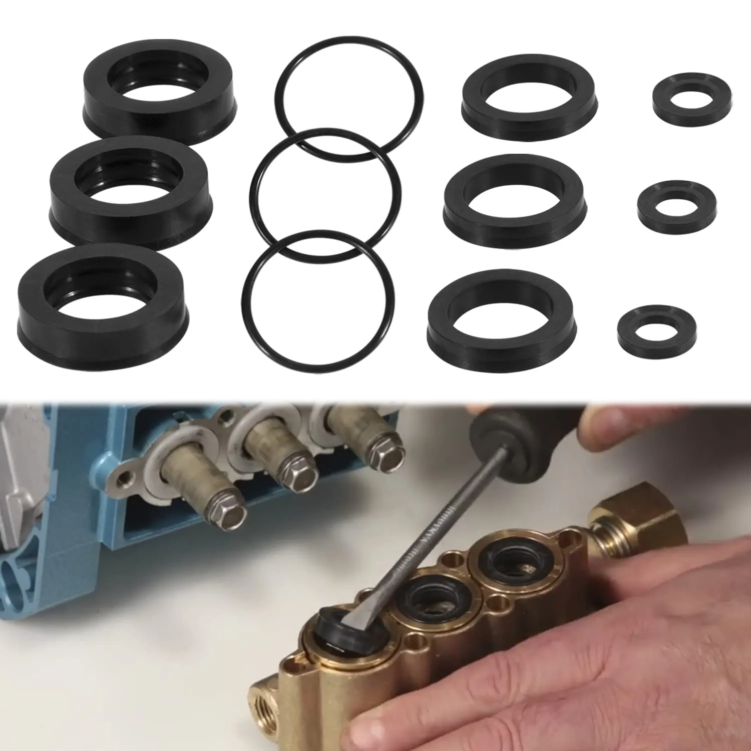 Sunluway 76975 Seal Kit CAT Seal Kit for 4DNX Pumps Fits for Replacement CAT 4DNX25GSI & 4DNX27GSI Pump