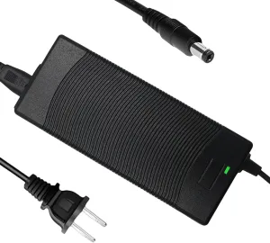 THEPRO 54.6V 2A ebike Battery Charger for 48V Lithium Battery, Universal 54.6V Electric Bike Scooter Power Adapter Chargers, 5.5mm DC Connector for 2.5mm