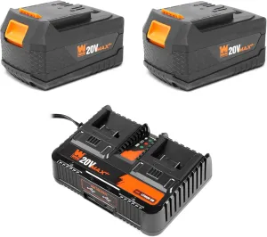 WEN 20V Max Starter Kit with Two 5.0 Ah Lithium-Ion Batteries and Dual Port Charger (20VB25D)
